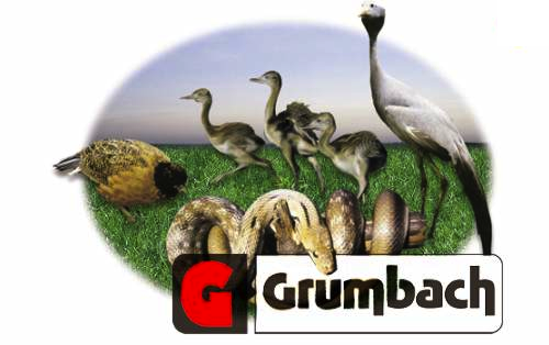 Grumbach Incubators
